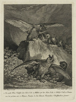 TvB G 4379
<br/>
Roofvogels (uit een serie van vier)
<br/>
<em>Ridinger, Martin Elias (ca. 1730-1780)</em>